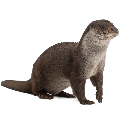 Otter mascot standing in profile
