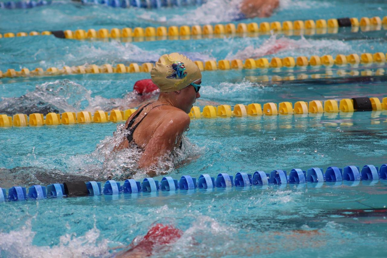 Rebels race-day gala highlight image